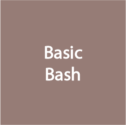 Basics of Bash