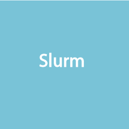 Slurm